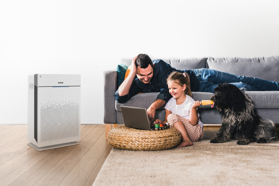 Father and daughter playing on laptop next to their dog and HR900 air purifier