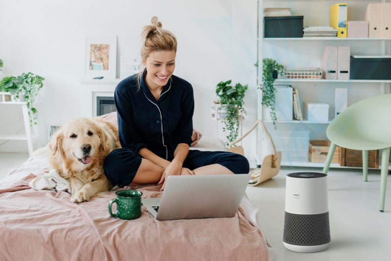 Woman sitting on bed with large dog and laptop with A231 air purifier on the floor