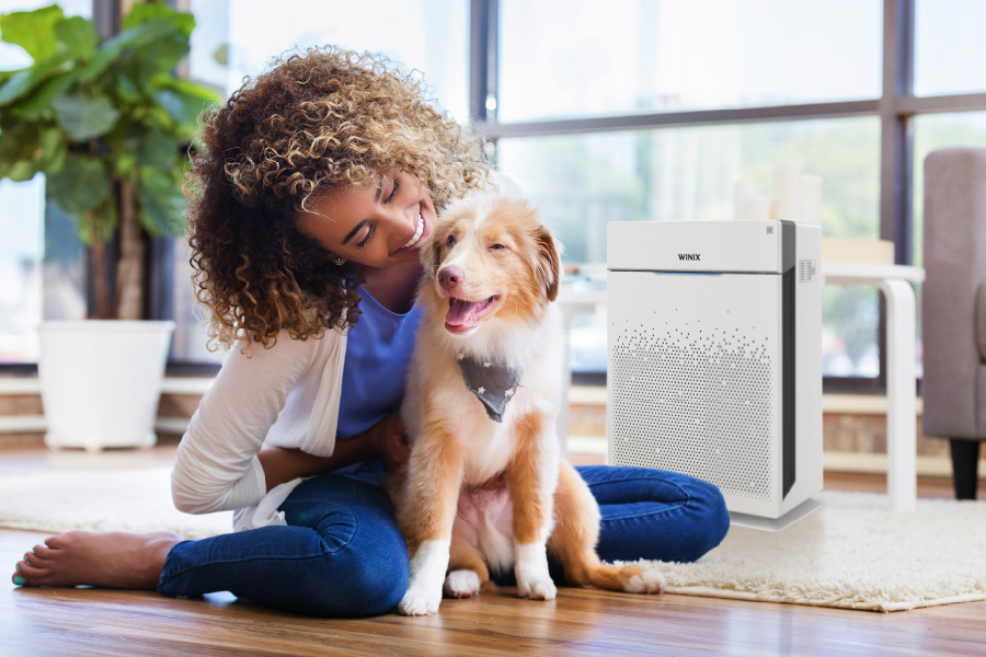 Woman and dog sitting on floor of livingroom playing with HR900 Air Purifier in background